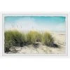 Brand new ???? Gracewood Hollow Beach Grass Framed Painting Wall Print ???? 1 Brand new ???? Gracewood Hollow Beach Grass Framed Painting Wall Print ???? -Gracewood Hollow shop Gracewood Hollow Beach Grass Framed Painting Wall Print bcba2c13 b7df 40c9 9628 3c5185f811a6