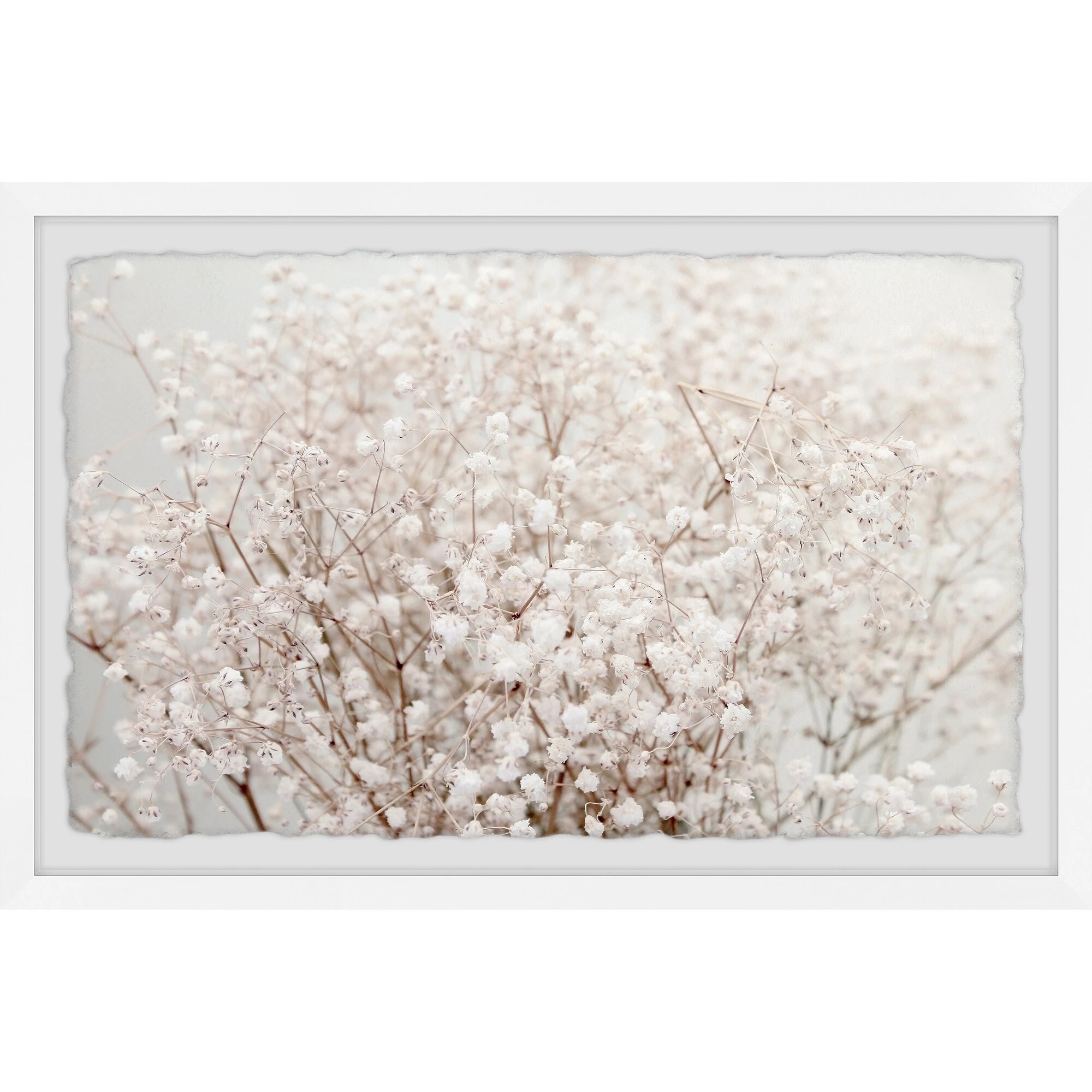 Best Sale ???? Gracewood Hollow Cotton Bush Framed Painting Print ???? 4 Best Sale ???? Gracewood Hollow Cotton Bush Framed Painting Print ???? - Image 2