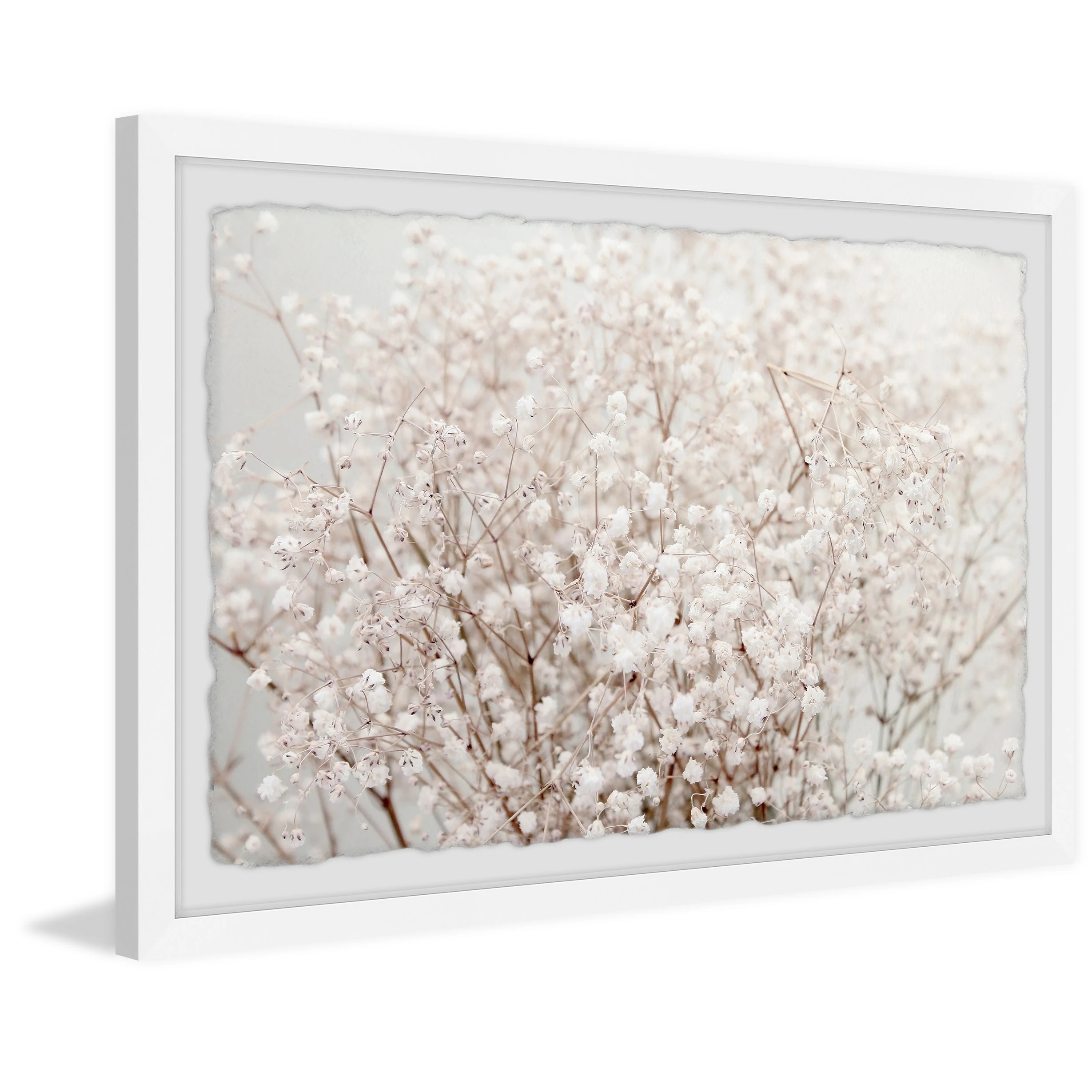 Best Sale ???? Gracewood Hollow Cotton Bush Framed Painting Print ???? 3 Best Sale ???? Gracewood Hollow Cotton Bush Framed Painting Print ????