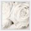 Top 10 ???? Gracewood Hollow Creamy White Roses Framed Painting Print ???? -Gracewood Hollow shop Gracewood Hollow Creamy White Roses Framed Painting Print aebc7a31 4ec8 4a93 84d5 f1b9fe808b79