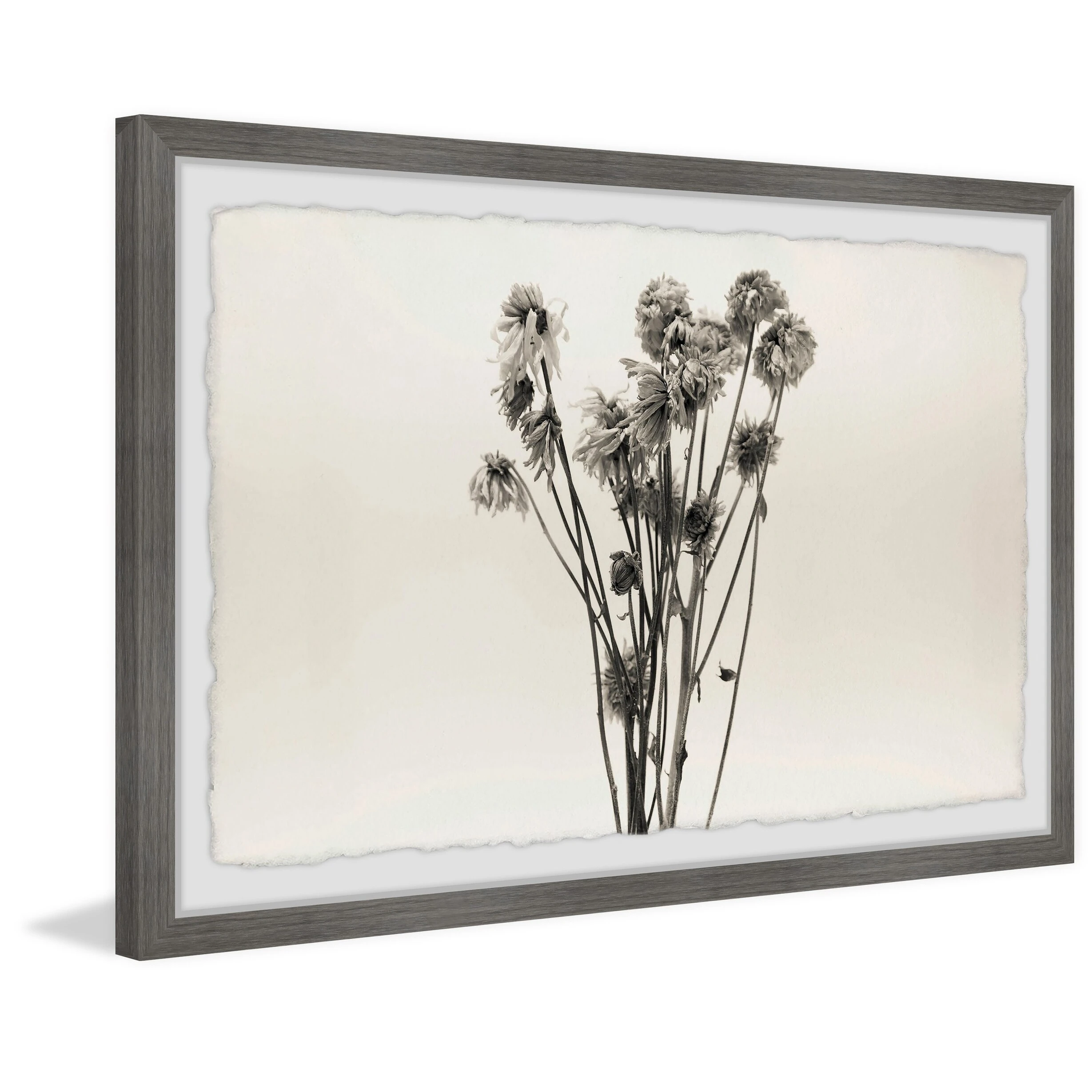 Brand new ???? Gracewood Hollow Dandelion In Grey Framed Painting Print ???? 4 Brand new ???? Gracewood Hollow Dandelion In Grey Framed Painting Print ???? - Image 2