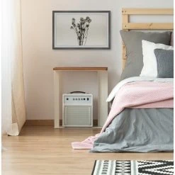 Brand new ???? Gracewood Hollow Dandelion In Grey Framed Painting Print ???? 13 Brand new ???? Gracewood Hollow Dandelion In Grey Framed Painting Print ???? -Gracewood Hollow shop Gracewood Hollow Dandelion in Grey Framed Painting Print 6db67a82 f53c 4fcc b309 0c4025c3c5c9