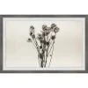 Brand new ???? Gracewood Hollow Dandelion In Grey Framed Painting Print ???? 1 Brand new ???? Gracewood Hollow Dandelion In Grey Framed Painting Print ???? -Gracewood Hollow shop Gracewood Hollow Dandelion in Grey Framed Painting Print c0bb9197 1e21 4997 8cda fd95c9f1e20a