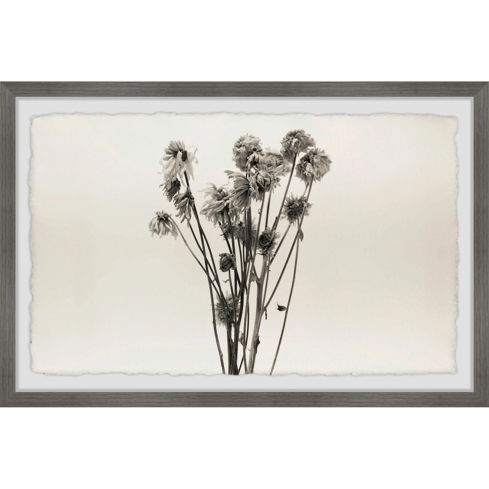 Brand new ???? Gracewood Hollow Dandelion In Grey Framed Painting Print ???? 3 Brand new ???? Gracewood Hollow Dandelion In Grey Framed Painting Print ????
