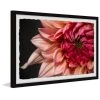 Wholesale ⭐ Gracewood Hollow Diverse Dahlia Framed Painting Print ???? 2 Wholesale ⭐ Gracewood Hollow Diverse Dahlia Framed Painting Print ???? -Gracewood Hollow shop Gracewood Hollow Diverse Dahlia Framed Painting Print 30126d6a 12d5 44d9 8c7e d2e131a8276c