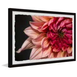 Wholesale ⭐ Gracewood Hollow Diverse Dahlia Framed Painting Print ????