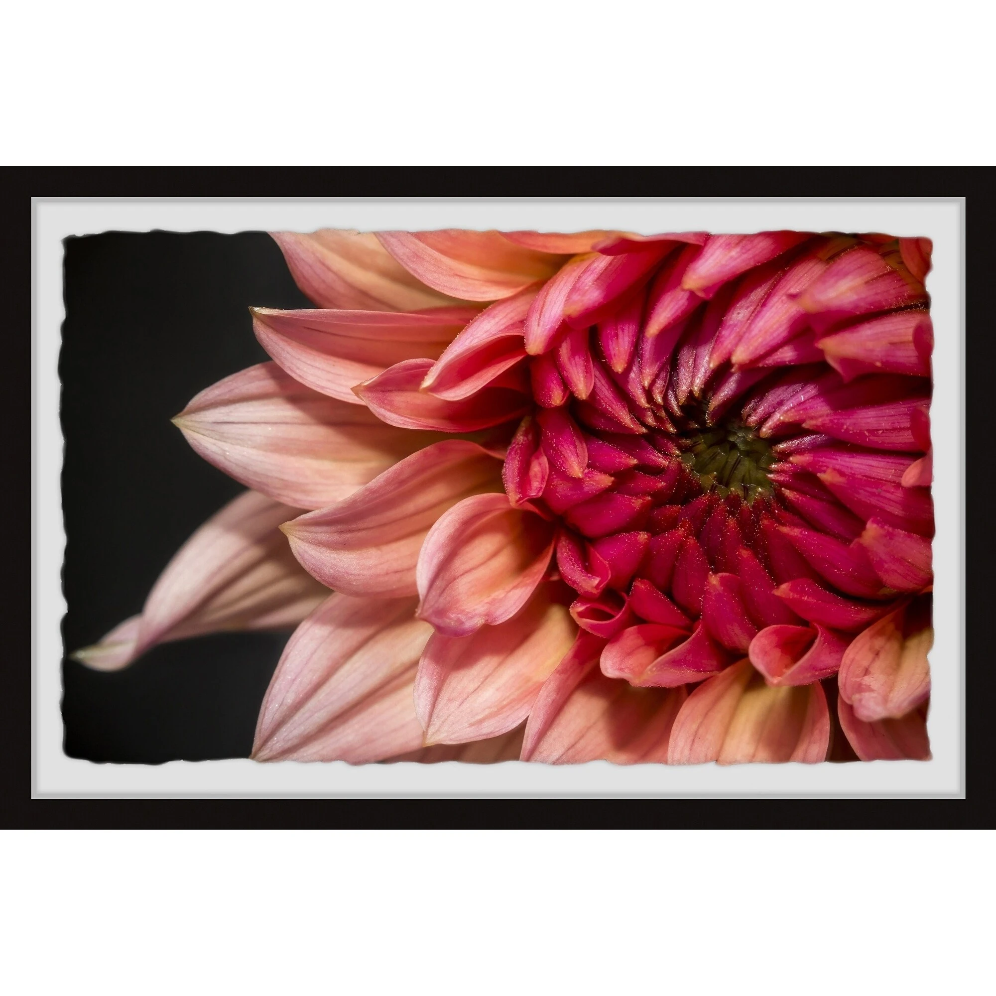 Wholesale ⭐ Gracewood Hollow Diverse Dahlia Framed Painting Print ???? 4 Wholesale ⭐ Gracewood Hollow Diverse Dahlia Framed Painting Print ???? - Image 2