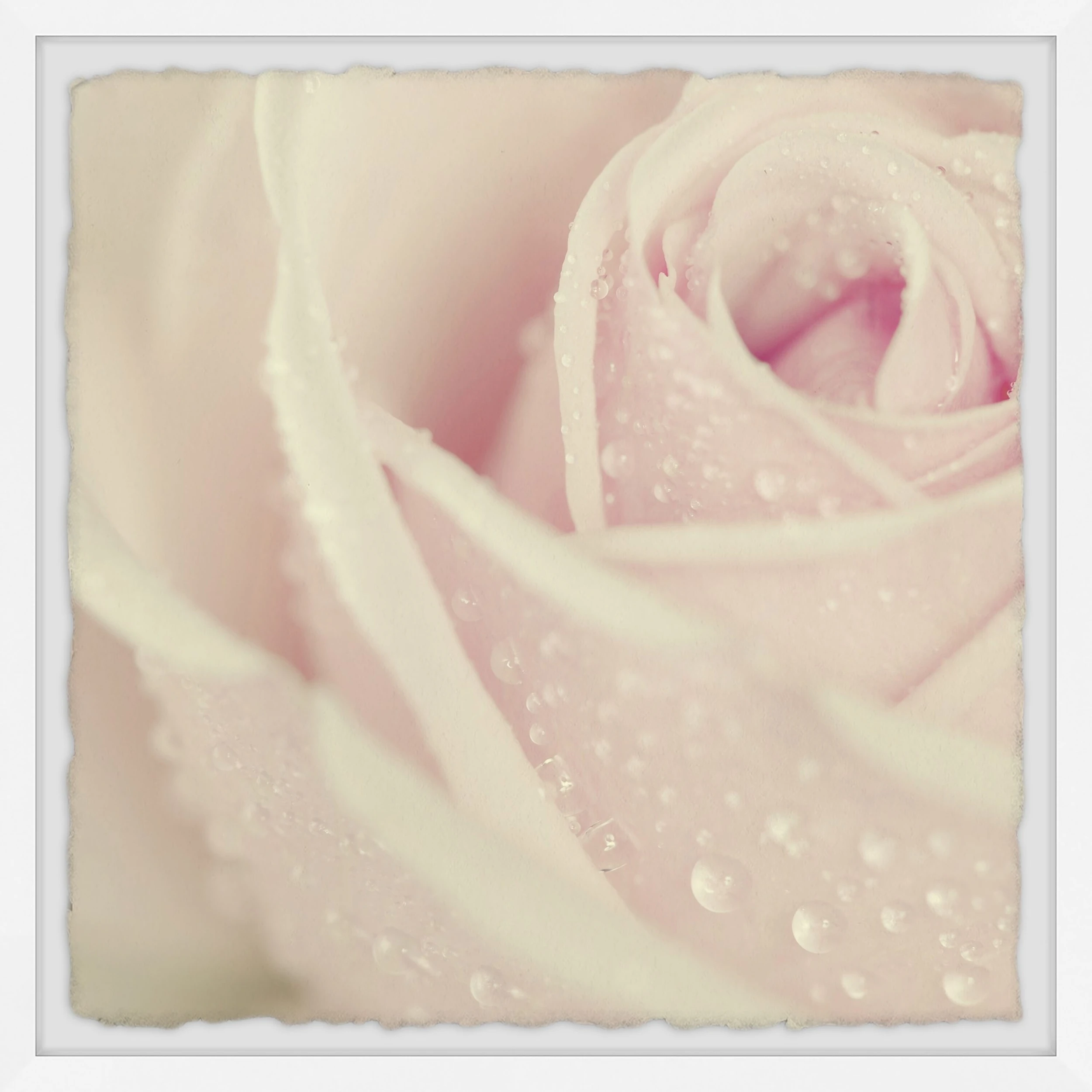 New ???? Gracewood Hollow Fresh Morning Dew Framed Painting Print ???? 3 New ???? Gracewood Hollow Fresh Morning Dew Framed Painting Print ????