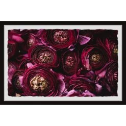 Best Sale ???? Gracewood Hollow Perfect Petals Framed Painting Print ????