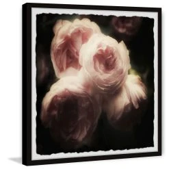 Flash Sale ❤️ Gracewood Hollow Roses And Shadows Framed Painting Print ⌛