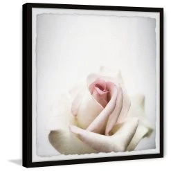Best Pirce ???? Gracewood Hollow White Rose Closeup Framed Painting Print ????
