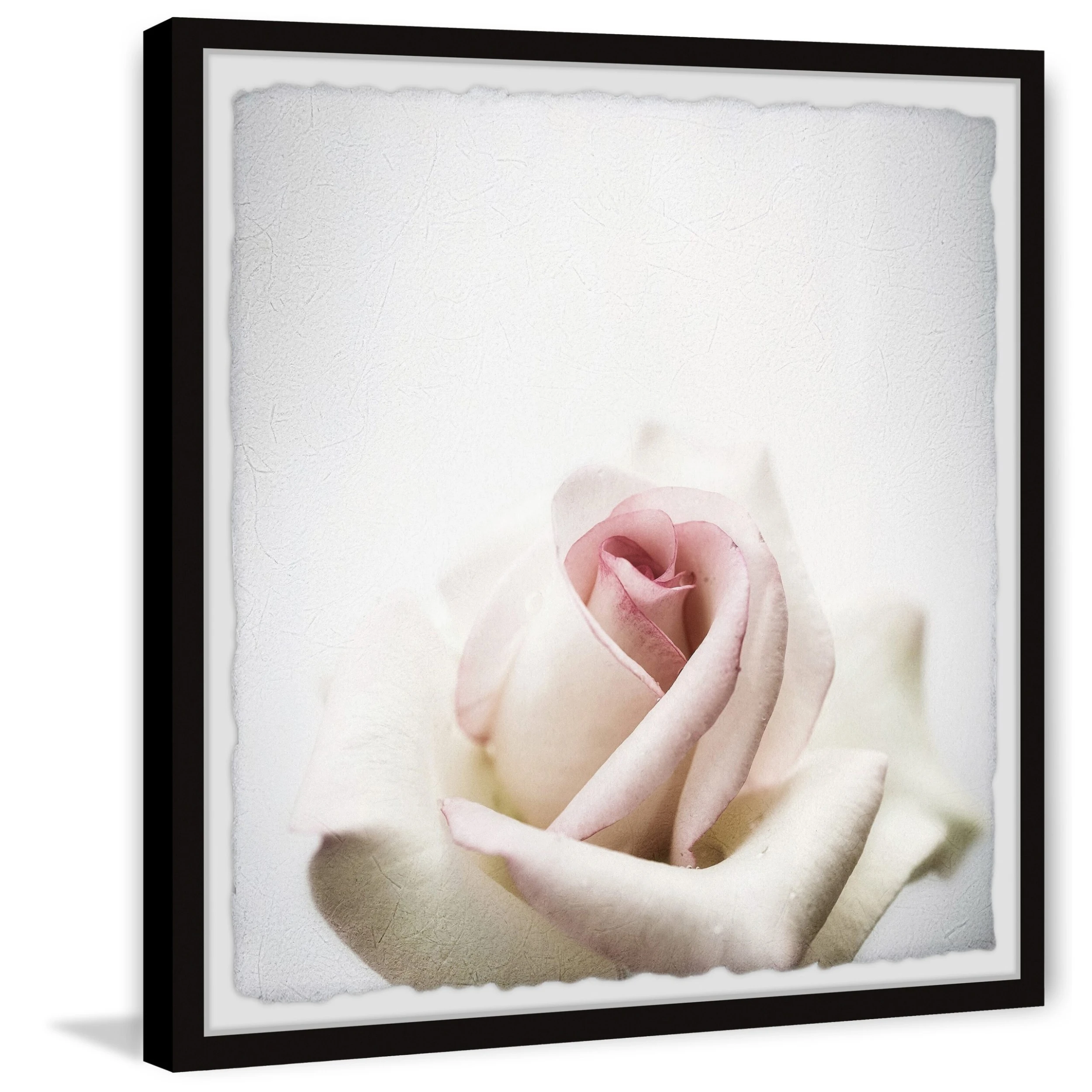 Best Pirce ???? Gracewood Hollow White Rose Closeup Framed Painting Print ???? 3 Best Pirce ???? Gracewood Hollow White Rose Closeup Framed Painting Print ????