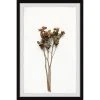 Cheapest ???? Gracewood Hollow Wilted Yellow Flowers Framed Painting Print ✔️ 2 Cheapest ???? Gracewood Hollow Wilted Yellow Flowers Framed Painting Print ✔️ -Gracewood Hollow shop Gracewood Hollow Wilted Yellow Flowers Framed Painting Print 8da10382 7c1b 41c6 8b74 2b12db15e202