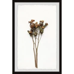 Cheapest ???? Gracewood Hollow Wilted Yellow Flowers Framed Painting Print ✔️