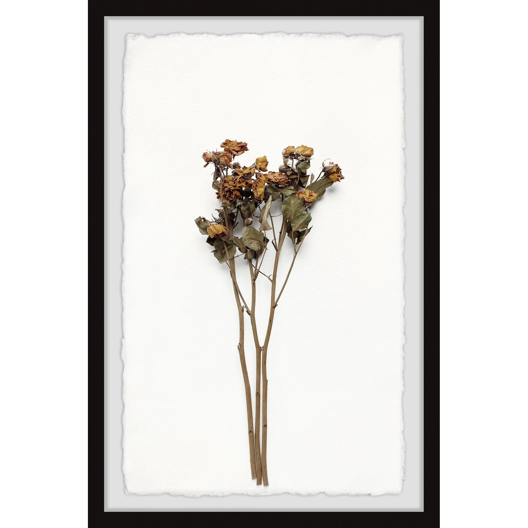 Cheapest ???? Gracewood Hollow Wilted Yellow Flowers Framed Painting Print ✔️ 3 Cheapest ???? Gracewood Hollow Wilted Yellow Flowers Framed Painting Print ✔️