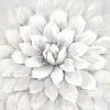 Cheapest ???? Gracewood Hollow White Mum Wrapped Canvas Print ⌛