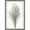 Cheap ???? Gracewood Hollow Wild Herbs Framed Painting Print ???? 1 Cheap ???? Gracewood Hollow Wild Herbs Framed Painting Print ???? -Gracewood Hollow shop Wild Herbs Framed Painting Print b49fa3f3 ed9b 410d 9344 004901dfd75c
