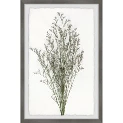 Cheap ???? Gracewood Hollow Wild Herbs Framed Painting Print ????